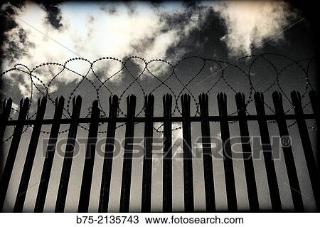Fence with thorns and stormy sky in London, England, UK, Europe View Large Photo Image Stock Image - Fence with thorns and stormy sky in London, England, UK, Europe. Fotosearch
