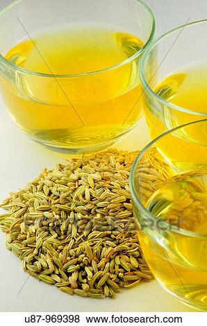 Fennel Seeds whith Fennel Tea View Large Photo Image Stock Photo - Fennel Seeds whith Fennel Tea. Fotosearch