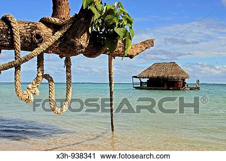 ferme perliere de demonstration au Tiki village, Moorea, iles de la Societe, archipel de la Polynesie francaise, ocean pacifique sud View Large Photo Image Stock Image - ferme perliere de demonstration au Tiki village, Moorea, iles de la Societe, archipel de la Polynesie francaise, ocean pacifique sud. Fotosearch