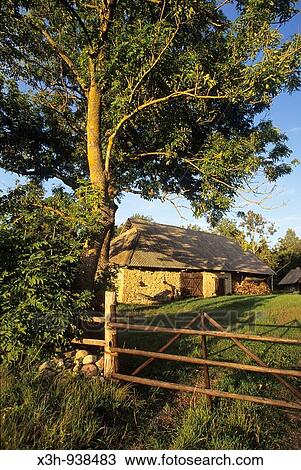 ferme, region de Saare, Estonie, pays balte, europe du nord View Large Photo Image Stock Image - ferme, region de Saare, Estonie, pays balte, europe du nord. Fotosearch