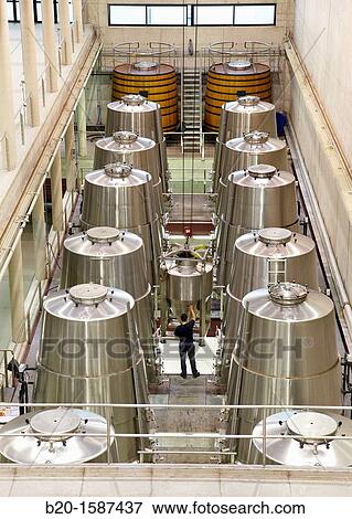 Fermentation tanks, Winery Building Architect Iaki Aspiazu, Bodegas Baigorri, Samaniego, Araba, Rioja Alavesa, Basque Country, Spain View Large Photo Image Stock Photo - Fermentation tanks, Winery Building Architect Iaki Aspiazu, Bodegas Baigorri, Samaniego, Araba, Rioja Alavesa, Basque Country, Spain. Fotosearch