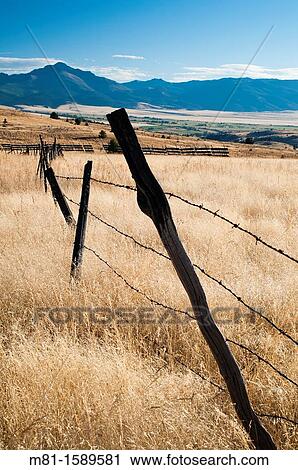Field and fence in John Day Valley. Wheeler County, Oregon, USA. View Large Photo Image Stock Image - Field and fence in John Day Valley. Wheeler County, Oregon, USA.. Fotosearch