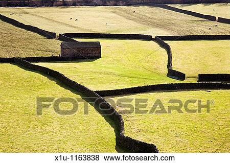 Field Barn and Dry Stone Walls Gunnerside Swaledale Yorkshire Dales England View Large Photo Image Stock Photo - Field Barn and Dry Stone Walls Gunnerside Swaledale Yorkshire Dales England. Fotosearch