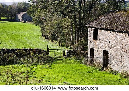 Field Barns near West Burton Wensleydale Yorkshire Dales England View Large Photo Image Picture - Field Barns near West Burton Wensleydale Yorkshire Dales England. Fotosearch