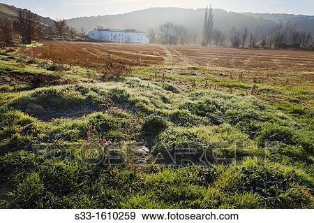 Field in Saelices Cuenca Castilla la Mancha Spain View Large Photo Image Stock Photo - Field in Saelices Cuenca Castilla la Mancha Spain. Fotosearch
