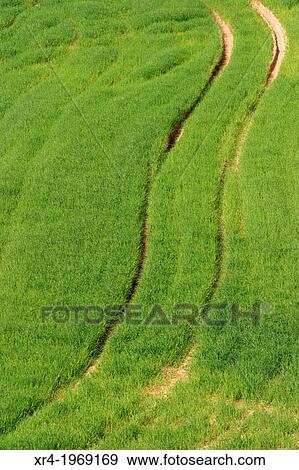 Field, Navarre, Spain. View Large Photo Image Stock Photo - Field, Navarre, Spain.. Fotosearch