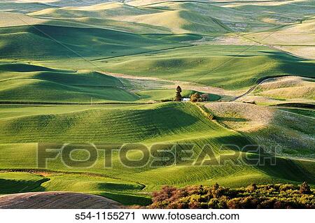 Stock Image - Fields in the Palouse, a rich farming area in eastern Washington State, USA. Fotosearch