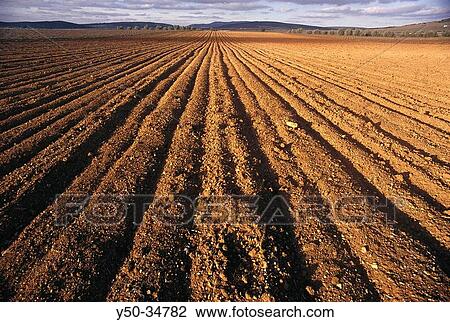 Stock Image - Fields, Montiel. Ciudad Real province, Castilla-La Mancha, Spain. Fotosearch