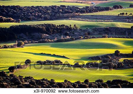 Fields of Valdizarbe Navarra Spain View Large Photo Image Stock Image - Fields of Valdizarbe Navarra Spain. Fotosearch