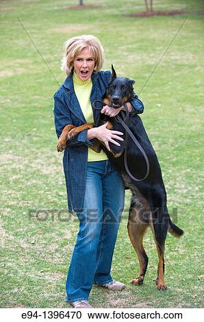 Fifty year old blond woman playing with a Doberman Pinscher in a park. View Large Photo Image Stock Image - Fifty year old blond woman playing with a Doberman Pinscher in a park.. Fotosearch