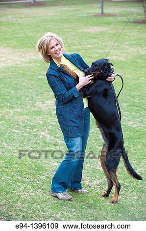 Fifty year old blond woman playing with a Doberman Pinscher in a park. View Large Photo Image Stock Photo - Fifty year old blond woman playing with a Doberman Pinscher in a park.. Fotosearch