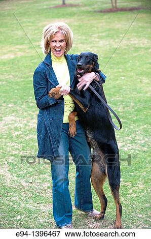 Fifty year old blond woman playing with a Doberman Pinscher in a park. View Large Photo Image Stock Photo - Fifty year old blond woman playing with a Doberman Pinscher in a park.. Fotosearch