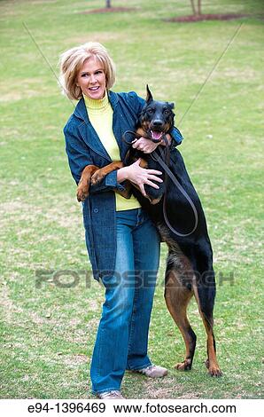Fifty year old blond woman playing with a Doberman Pinscher in a park. View Large Photo Image Stock Photo - Fifty year old blond woman playing with a Doberman Pinscher in a park.. Fotosearch