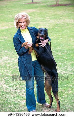 Fifty year old blond woman playing with a Doberman Pinscher in a park. View Large Photo Image Stock Photograph - Fifty year old blond woman playing with a Doberman Pinscher in a park.. Fotosearch