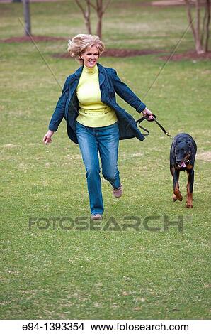 Fifty year old blond woman running with a Doberman Pinscher in a park. View Large Photo Image Picture - Fifty year old blond woman running with a Doberman Pinscher in a park.. Fotosearch