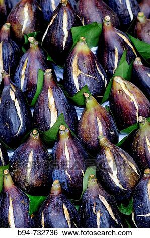 Figs at La Boqueria market, Barcelona. Catalonia, Spain View Large Photo Image Stock Photograph - Figs at La Boqueria market, Barcelona. Catalonia, Spain. Fotosearch