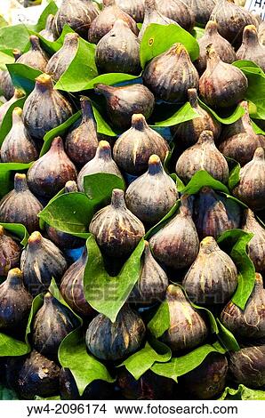 Figs, Boqueria market, La Rambla, Barcelona, Catalonia, Spain. View Large Photo Image Picture - Figs, Boqueria market, La Rambla, Barcelona, Catalonia, Spain.. Fotosearch