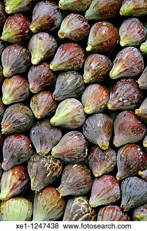 Stock Photo - Figs, fruits, food.. Fotosearch