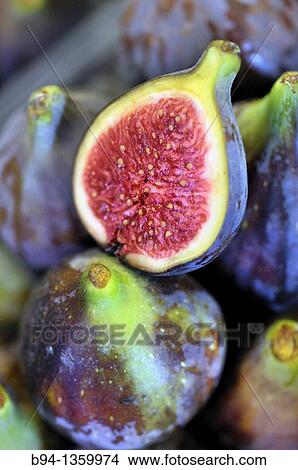 Figs in La Boqueria market, Barcelona. Catalonia, Spain View Large Photo Image Picture - Figs in La Boqueria market, Barcelona. Catalonia, Spain. Fotosearch
