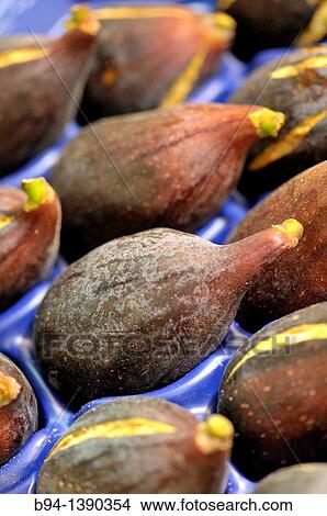 Figs in La Boqueria market, Barcelona. Catalonia, Spain View Large Photo Image Picture - Figs in La Boqueria market, Barcelona. Catalonia, Spain. Fotosearch
