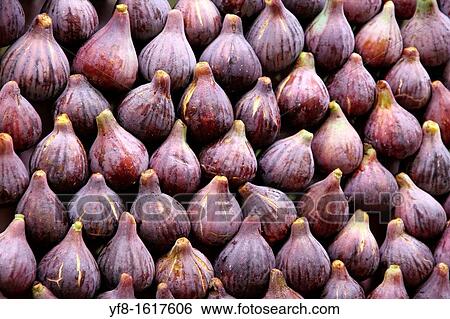 Stock Photograph - Figs, La Boquer? a Market, Barcelona, Catalonia, Spain. Fotosearch