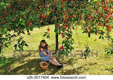 fillette assise a l'ombre sous un cerisier,,departement Eure et Loir, region Centre, France, Europe/young girl sitting in the shade of a cherry tree, Eure et Loir department, region Centre, France, Europe. View Large Photo Image Picture - fillette assise a l'ombre sous un cerisier,,departement Eure et Loir, region Centre, France, Europe/young girl sitting in the shade of a cherry tree, Eure et Loir department, region Centre, France, Europe.. Fotosearch