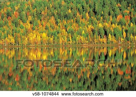 Finland, Lapland, Lake Pyha in autumn View Large Photo Image Picture - Finland, Lapland, Lake Pyha in autumn. Fotosearch