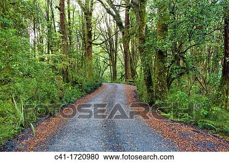 Fiordland New Zealand View Large Photo Image Stock Image - Fiordland New Zealand. Fotosearch