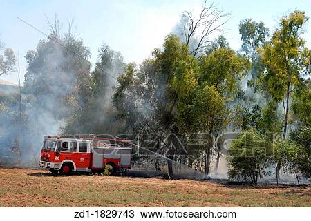 Firefighters work to extinguish a forest fire View Large Photo Image Stock Image - Firefighters work to extinguish a forest fire. Fotosearch