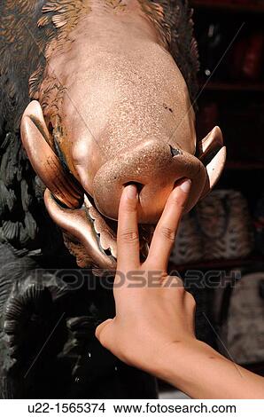 Picture - Firenze (Italy): a tourist touching the nose of the Porcellino statue, by the Mercato Nuovo, as sign of good luck. Fotosearch
