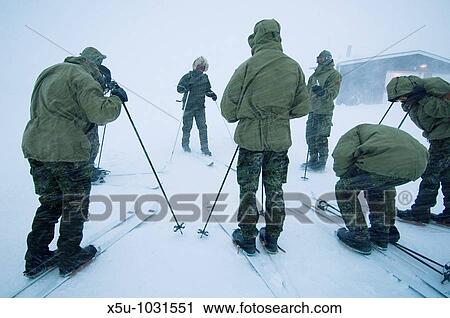 First day of winter survival training Recruits on skis Danish Special Forces, Sirius Dog Patrol, North East Greenland View Large Photo Image Stock Image - First day of winter survival training Recruits on skis Danish Special Forces, Sirius Dog Patrol, North East Greenland. Fotosearch