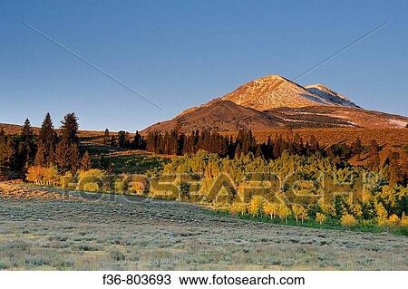 First light on Dunderberg Peak in early fall, Virginia Lakes area, near Lee Vining, CALIFORNIA View Large Photo Image Stock Image - First light on Dunderberg Peak in early fall, Virginia Lakes area, near Lee Vining, CALIFORNIA. Fotosearch