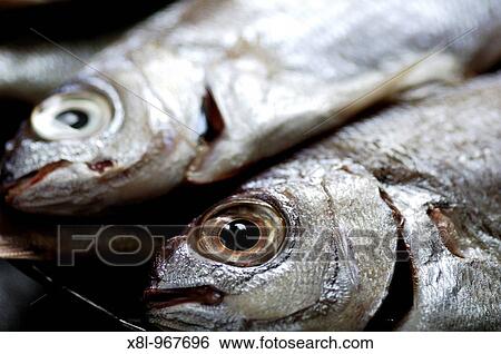 fish dish View Large Photo Image Stock Photograph - fish dish. Fotosearch