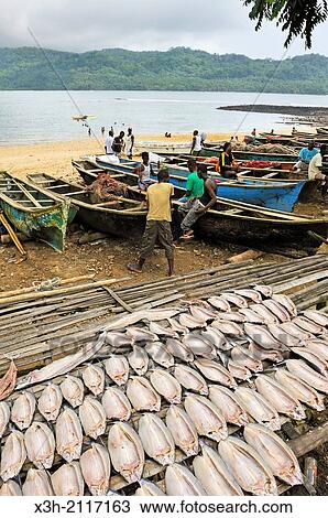 fish drying and fishermen at Porto Alegre village in the south of Sao Tome Island, Republic of Sao Tome and Principe, Africa. View Large Photo Image Stock Image - fish drying and fishermen at Porto Alegre village in the south of Sao Tome Island, Republic of Sao Tome and Principe, Africa.. Fotosearch
