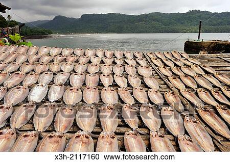 fish drying, Porto Alegre village in the south of Sao Tome Island, Republic of Sao Tome and Principe, Africa. View Large Photo Image Stock Image - fish drying, Porto Alegre village in the south of Sao Tome Island, Republic of Sao Tome and Principe, Africa.. Fotosearch