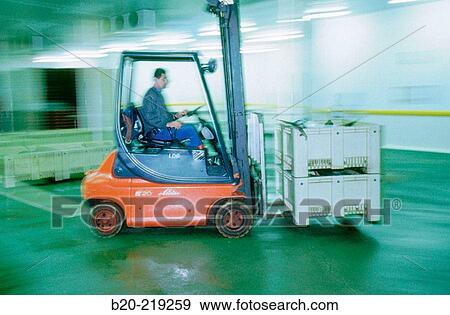 Stock Photo - Fish Exchange. Getaria. Guipzcoa. Euskadi. Spain. Fotosearch