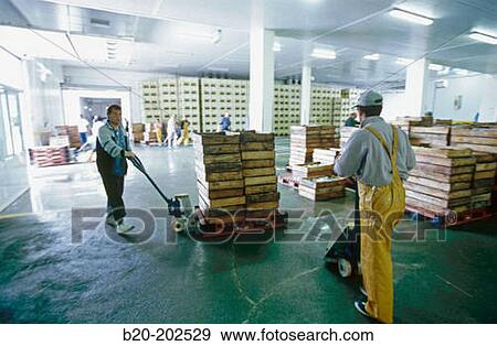 Fish exchange. Getaria. Spain View Large Photo Image Stock Photo - Fish exchange. Getaria. Spain. Fotosearch