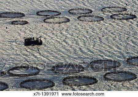 Fish farming in the gulf of Argostoli, kefalonia, Greece View Large Photo Image Stock Image - Fish farming in the gulf of Argostoli, kefalonia, Greece. Fotosearch