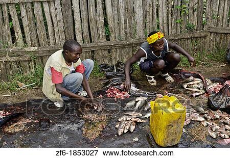 Fish Market at Lake Awassa in Awassa Ethiopia Africa with fishermen preparing fish for sale at lake View Large Photo Image Stock Photo - Fish Market at Lake Awassa in Awassa Ethiopia Africa with fishermen preparing fish for sale at lake. Fotosearch