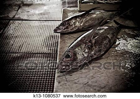 Fish market in Palermo Sicily Italy View Large Photo Image Stock Photo - Fish market in Palermo Sicily Italy. Fotosearch