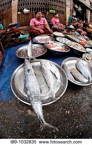 Fish Market in Yangon View Large Photo Image Stock Photography - Fish Market in Yangon. Fotosearch