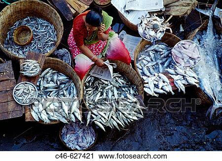 Fish market. Panaji. Goa. India View Large Photo Image Stock Image - Fish market. Panaji. Goa. India. Fotosearch