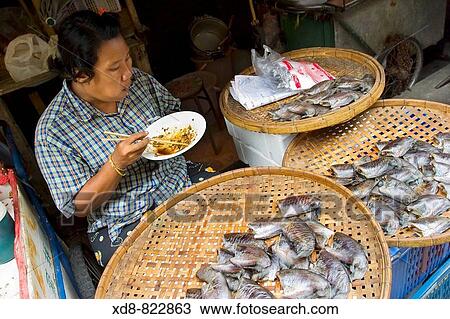fish market stall in Chinatown Bangkok, Thailand, Asia View Large Photo Image Stock Image - fish market stall in Chinatown Bangkok, Thailand, Asia. Fotosearch
