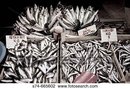 Fish selling next to the Misir Carsisi (Egyptian bazaar). Istanbul. Turkey. View Large Photo Image Stock Image - Fish selling next to the Misir Carsisi (Egyptian bazaar). Istanbul. Turkey.. Fotosearch