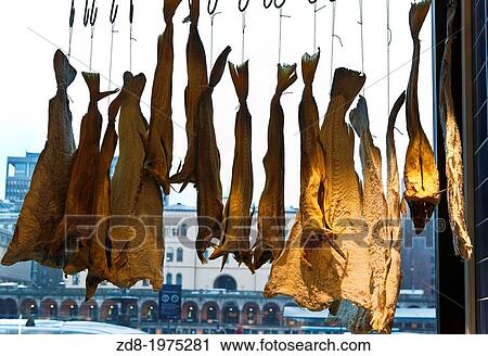 fish shop in oslo. norway. View Large Photo Image Stock Image - fish shop in oslo. norway.. Fotosearch