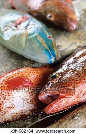 Picture - fish to sell, Grenadines Islands, Winward Islands, Lesser Antilles, Caribbean Sea. Fotosearch
