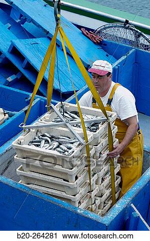 Fisherman at port. Getaria. Guipzcoa. Spain View Large Photo Image Stock Image - Fisherman at port. Getaria. Guipzcoa. Spain. Fotosearch