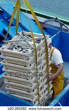 Fisherman at port. Getaria. Guipzcoa. Spain View Large Photo Image Stock Image - Fisherman at port. Getaria. Guipzcoa. Spain. Fotosearch