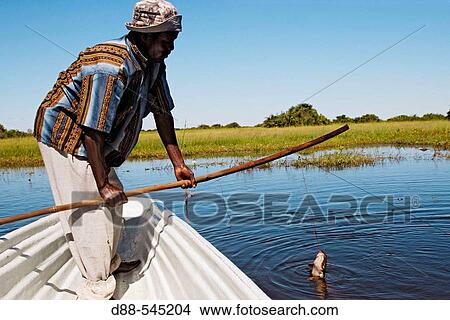 Picture - Fisherman. Bangweuleu marshes. Zambia. Fotosearch