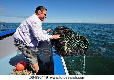 Fisherman in his boat for crab fishing Guernsey, Channel Islands, UK View Large Photo Image Stock Photo - Fisherman in his boat for crab fishing Guernsey, Channel Islands, UK. Fotosearch
